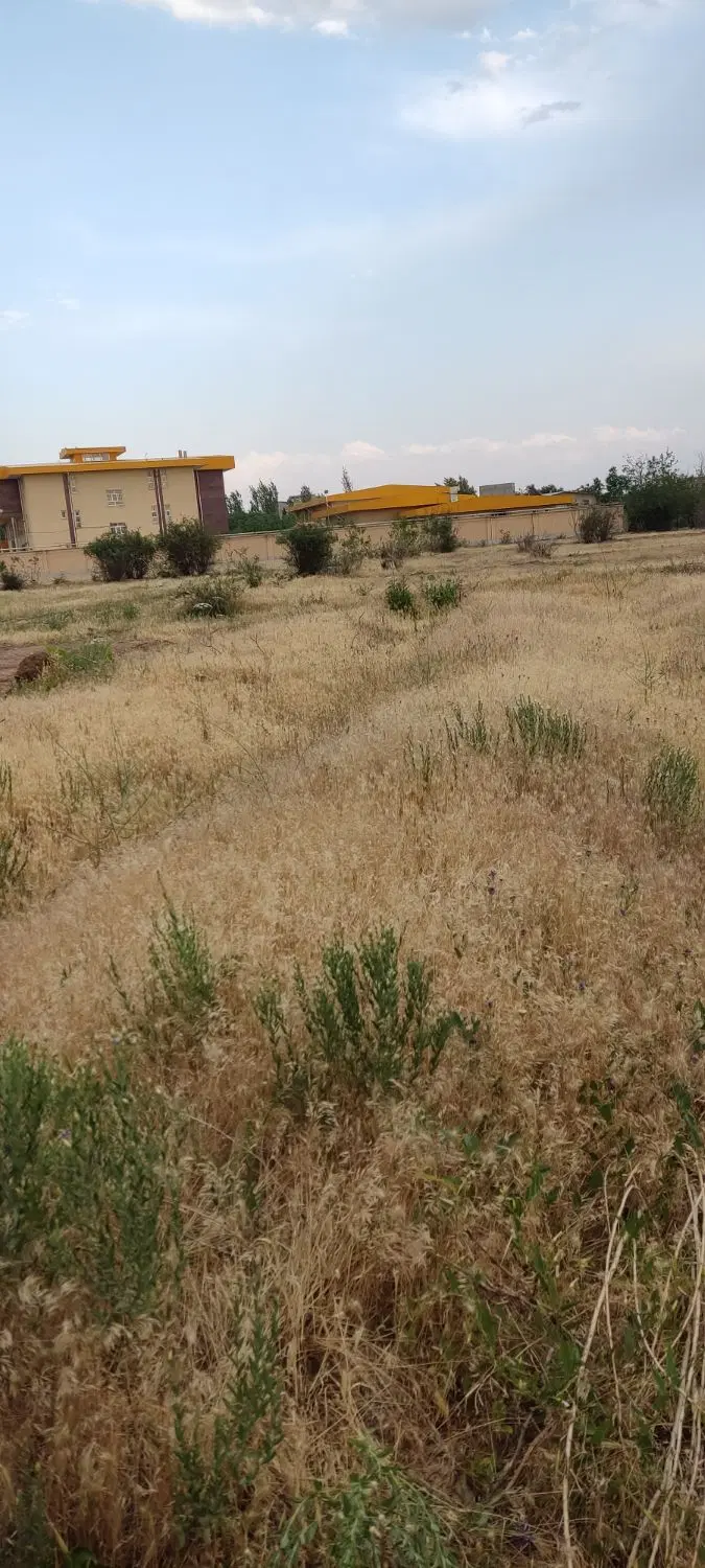 زمین آینده دار انتهای جهاد