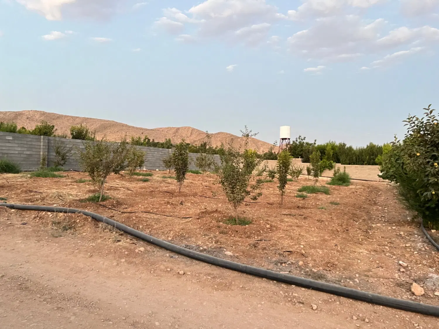 باغشهری