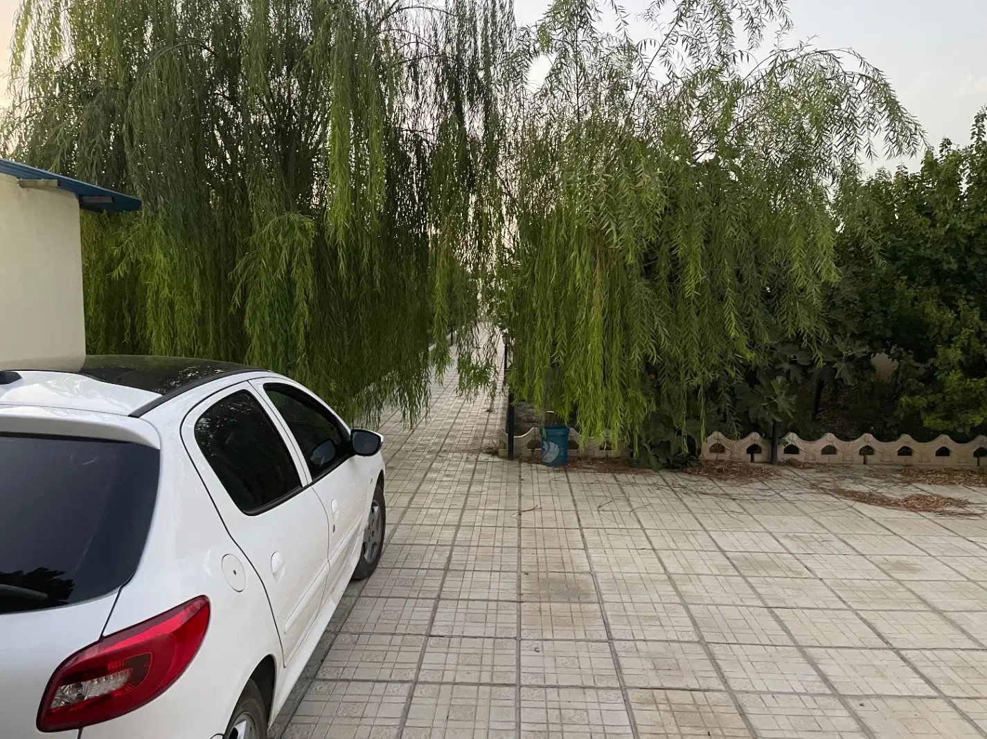 باغ شهریار (سند شش دانگ کاسبی)