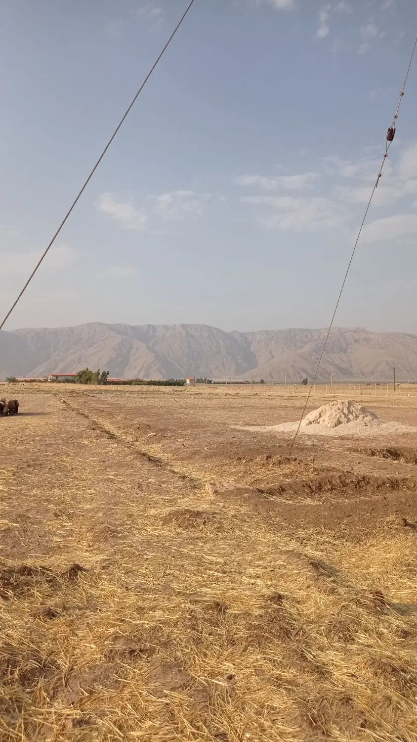 فروش زمین