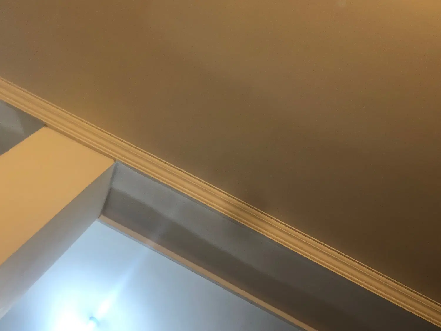 همخونه