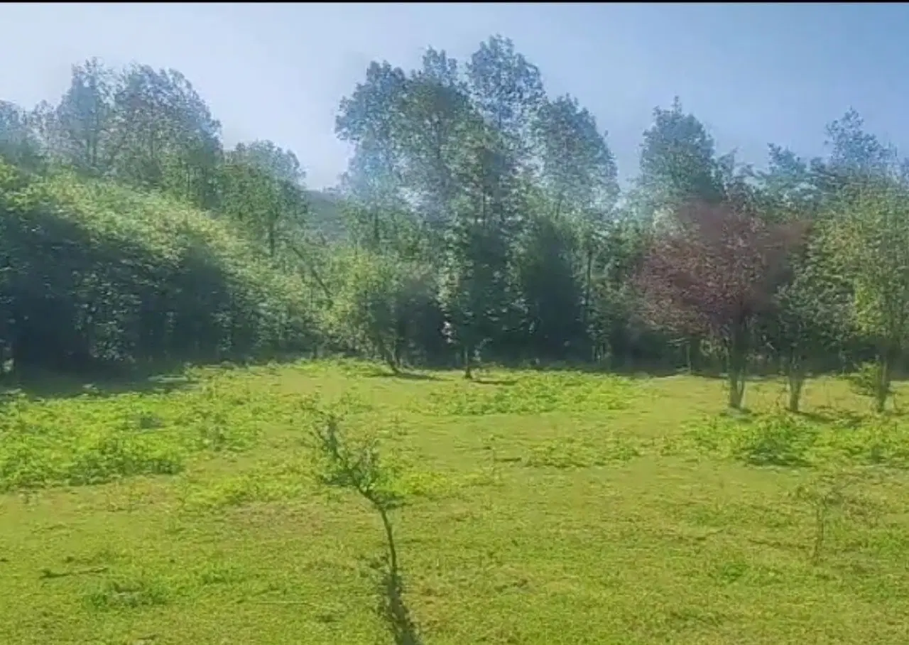 ملک هکتاری