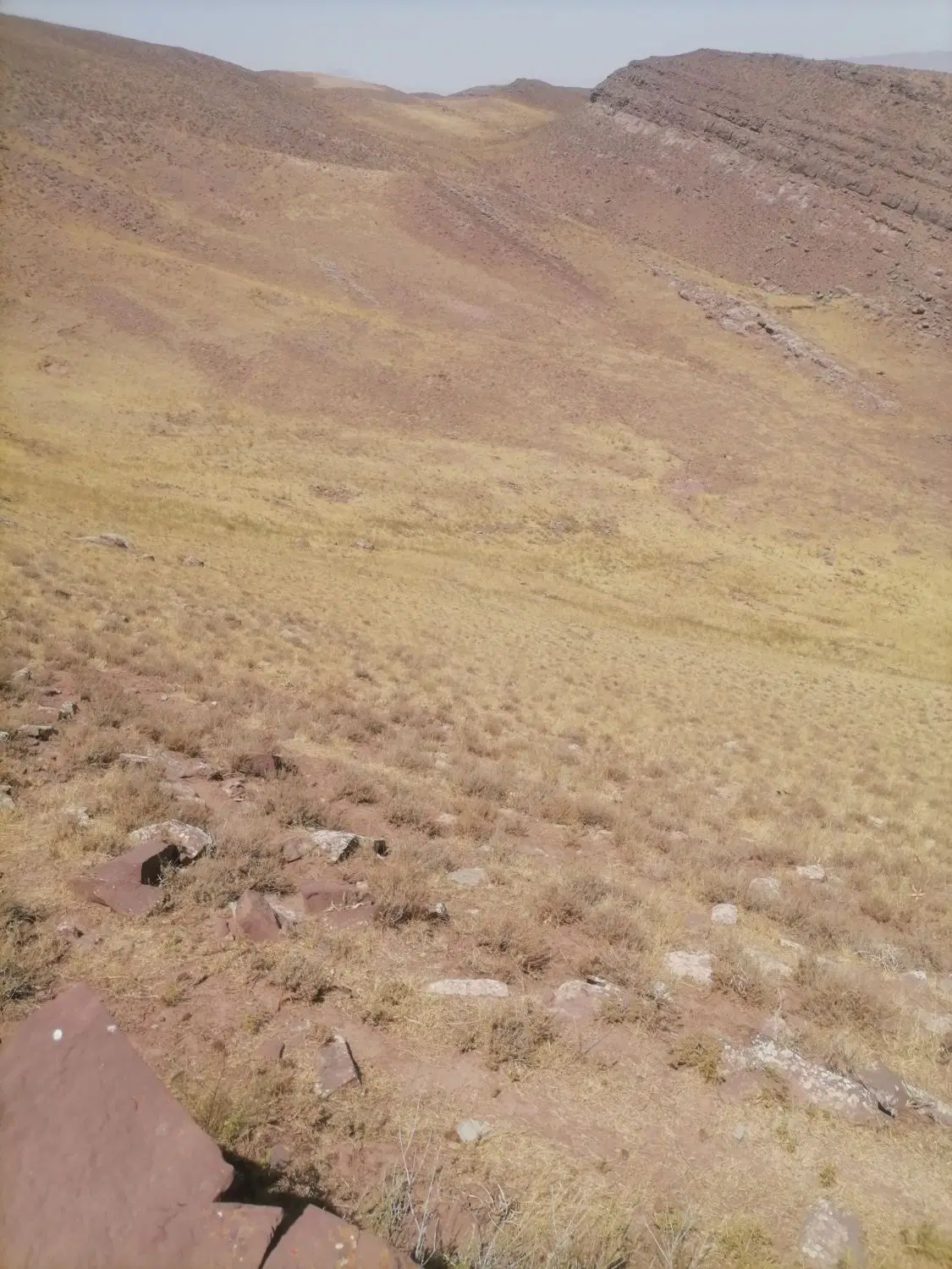 زمین مسکونی