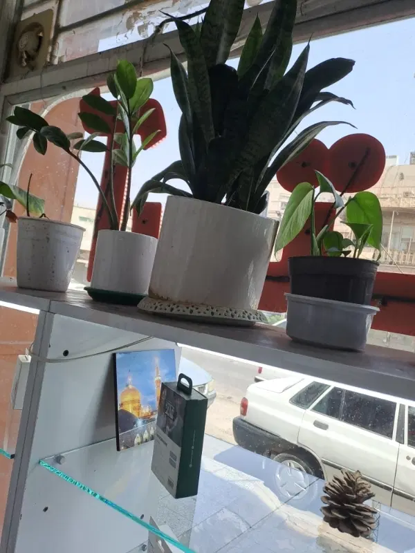 درخواست مغازه برای رهن و کرایه