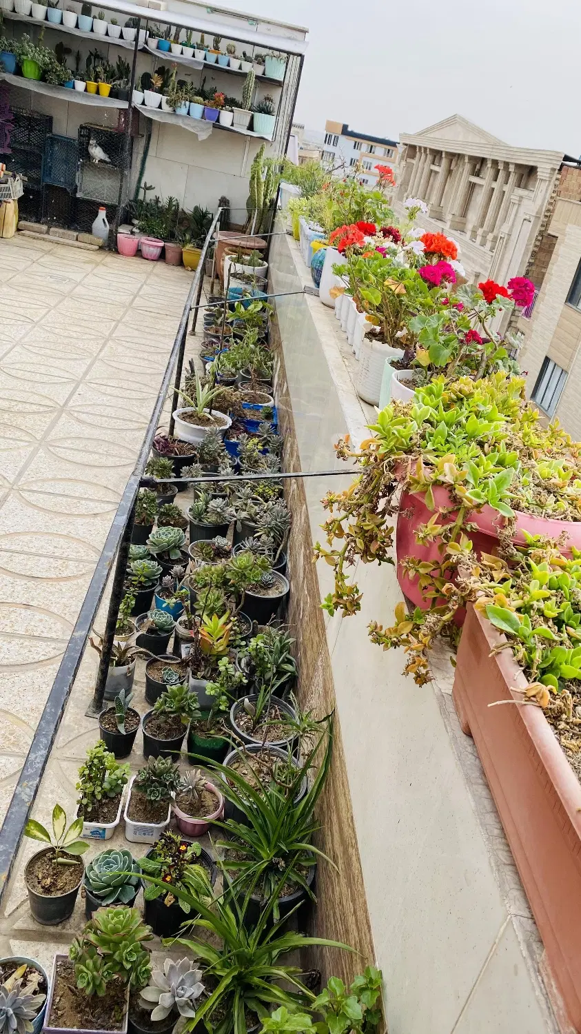 طبقه ۵تک واحدی ۱۰۰متر+۳۰مترتراس