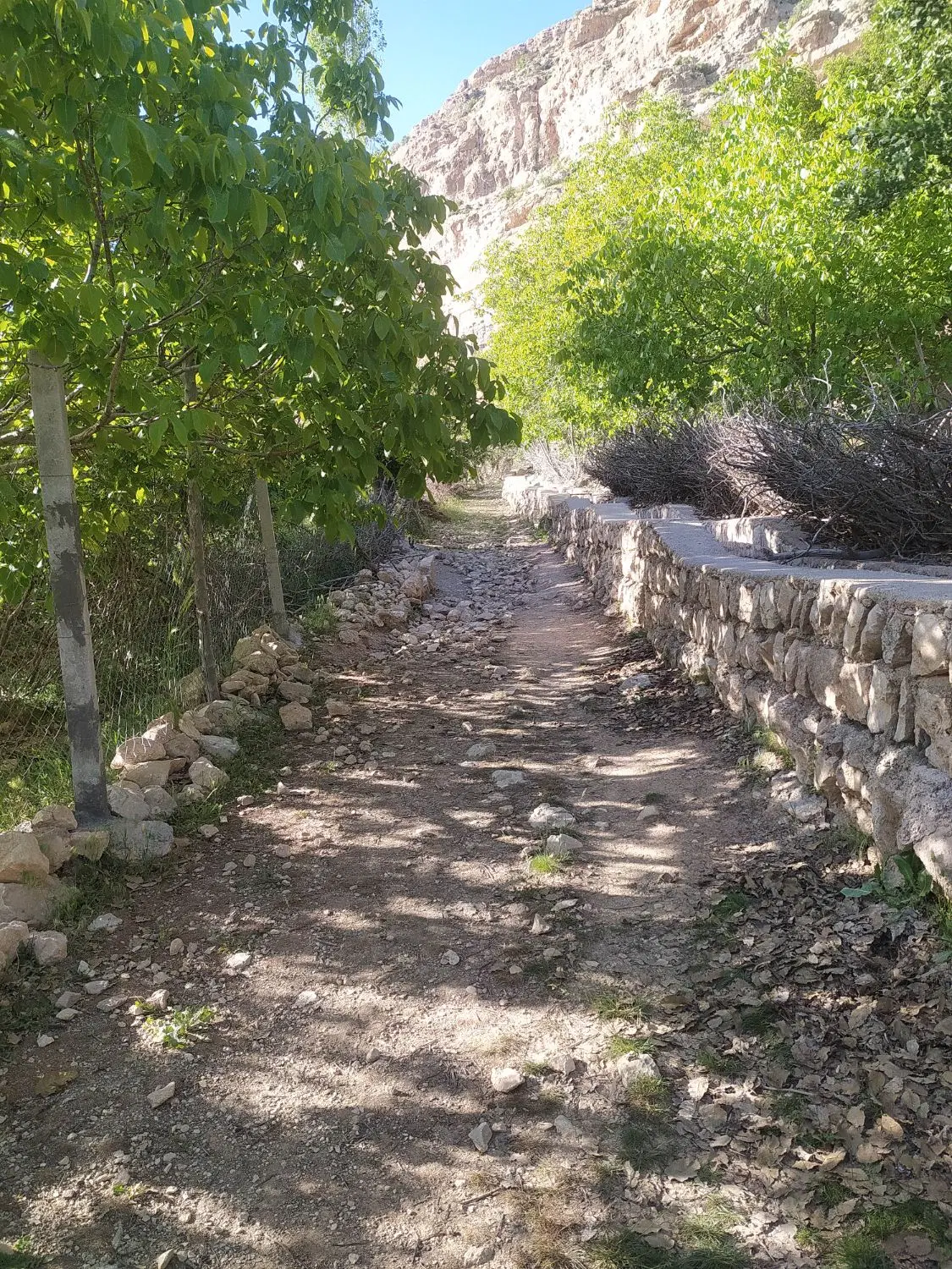 خانه باغ گرگاوچشمه کبود