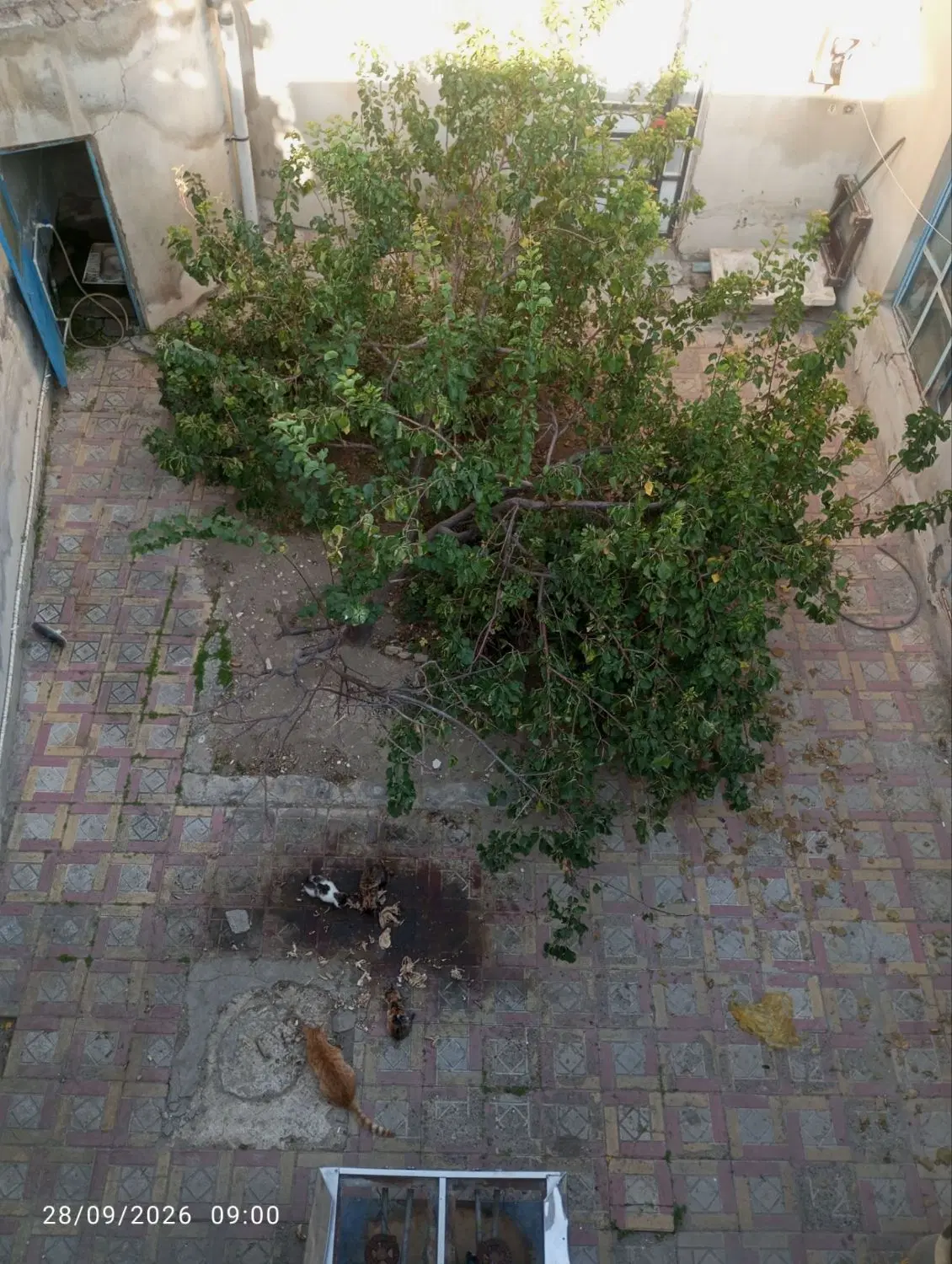 خانه 200متری در سربالایی رواسان جنب مسجد امام زمان