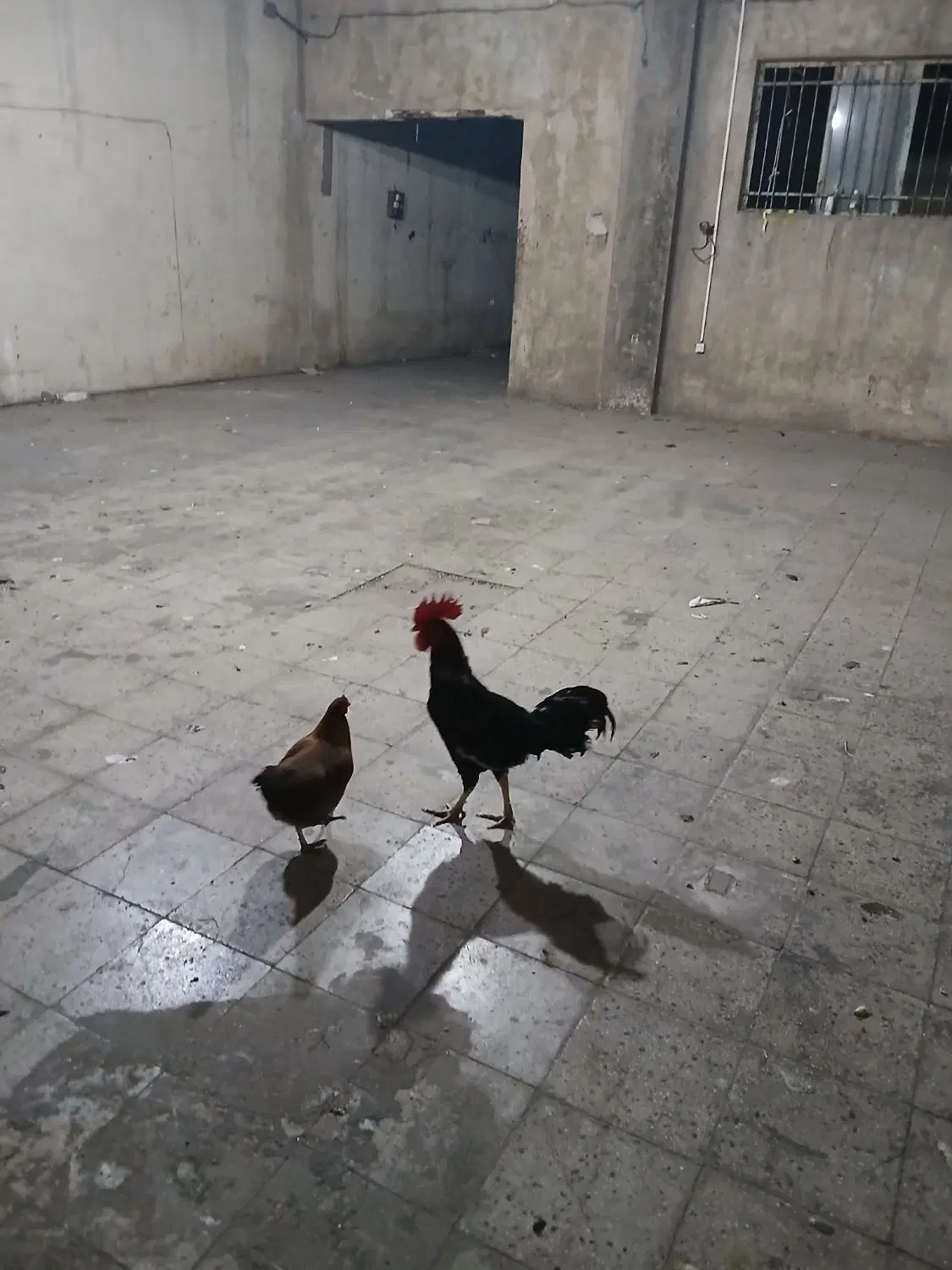اجاره سالن تجاری به متراژ ۲۷۰ متر