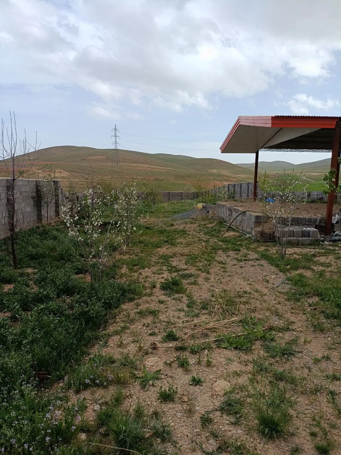باغ نیمه کاره
