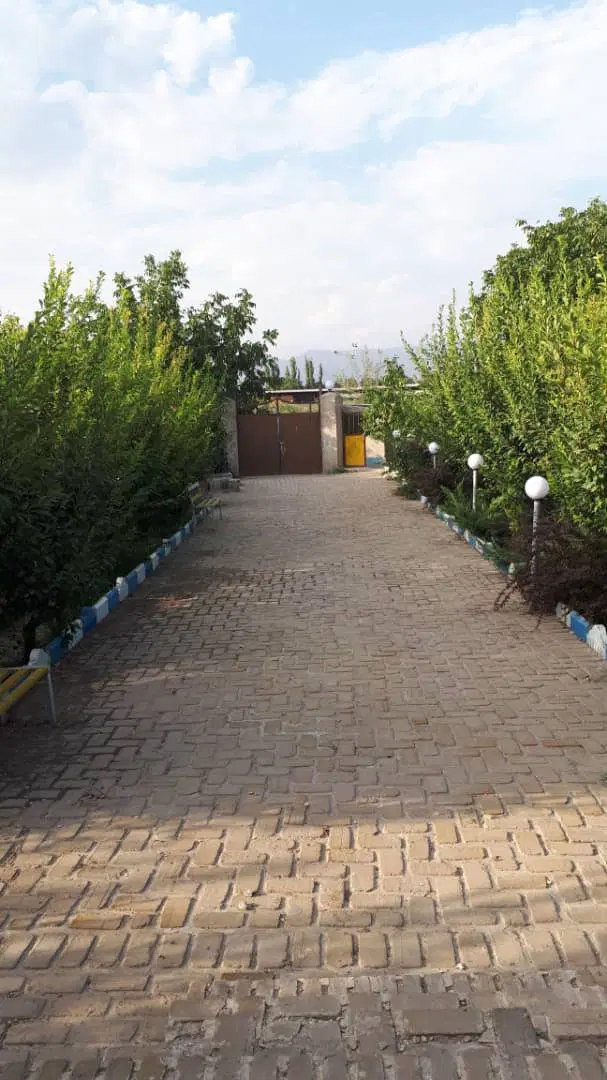 باغ(حاجی بیک)