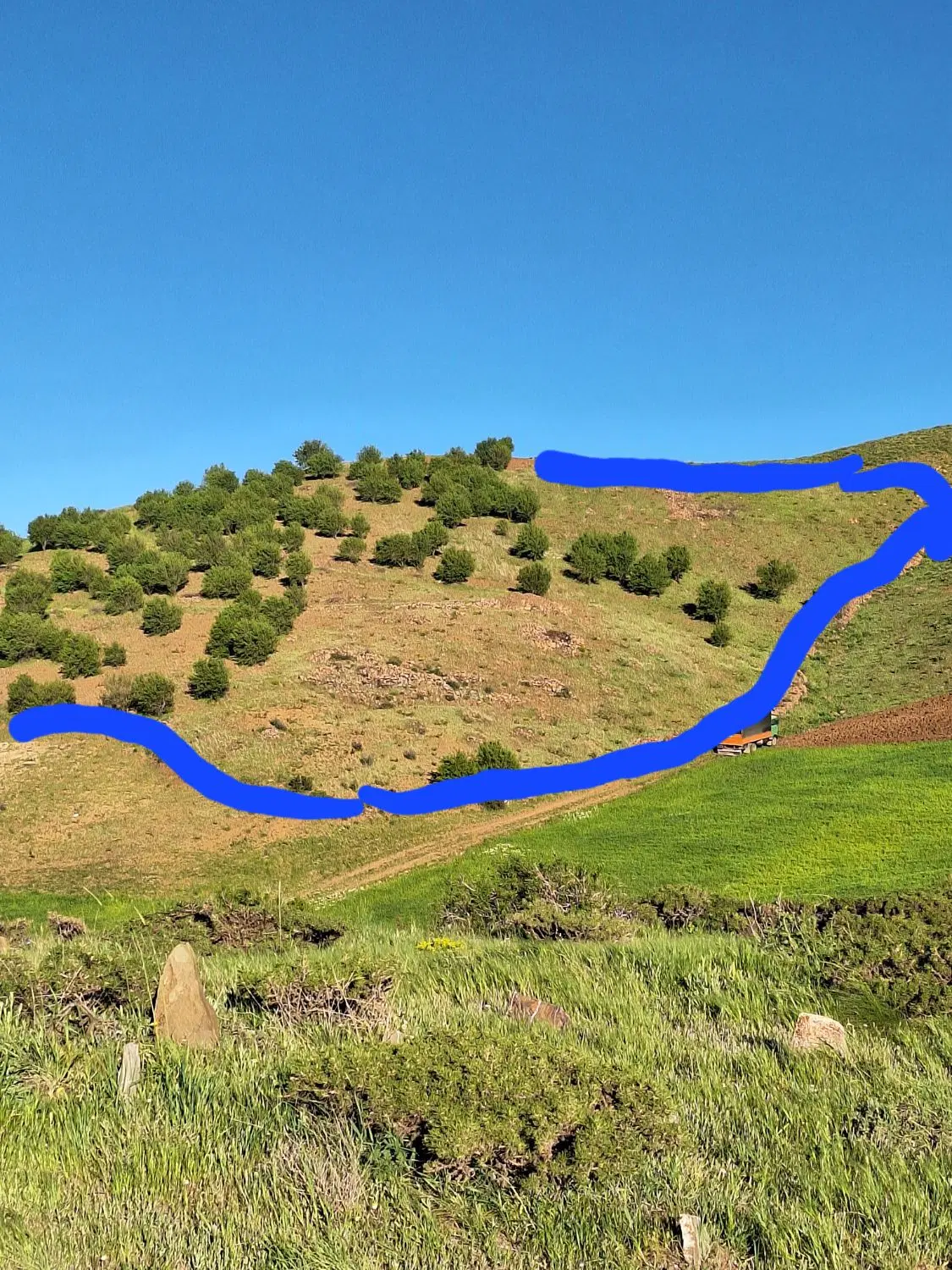 زمین کشاورزی .انگور. بادام دیم