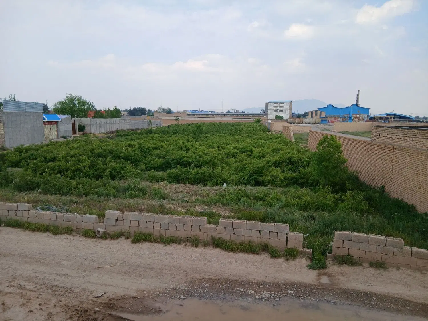 زمین باغی با قابلیت گرفتن کاربری صنعتی