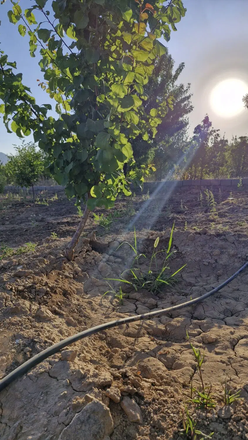 باغ هزار متری روستای گردشگری مارکده