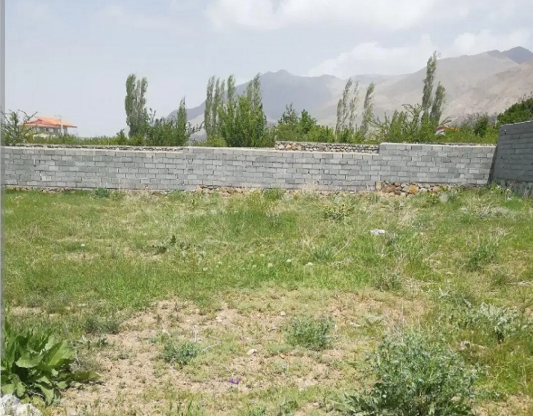 زمین مسکونی ،بیست متری جنگل