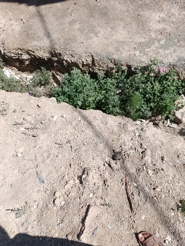 زمین گاوخانه مهردشت احتشامیه ۱۴۰