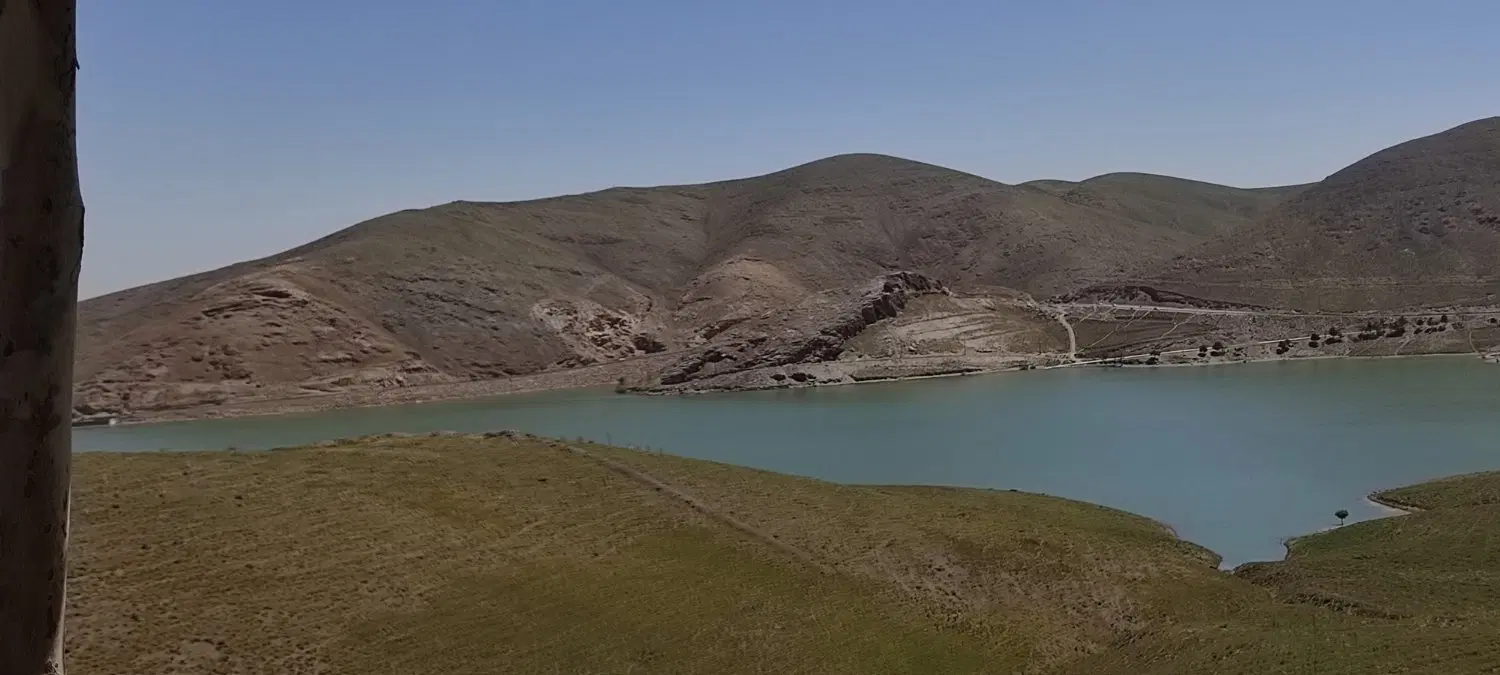 زمین باغی