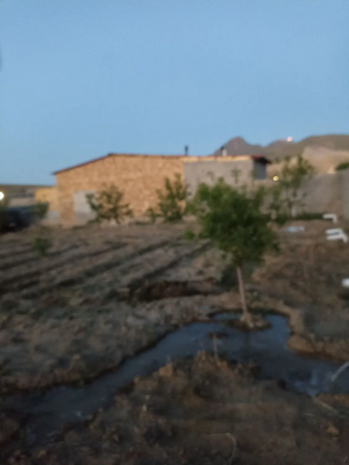 باغچه الوان در قهرمان لو