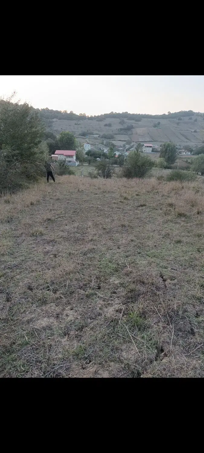 زمین در کیاسر لالا