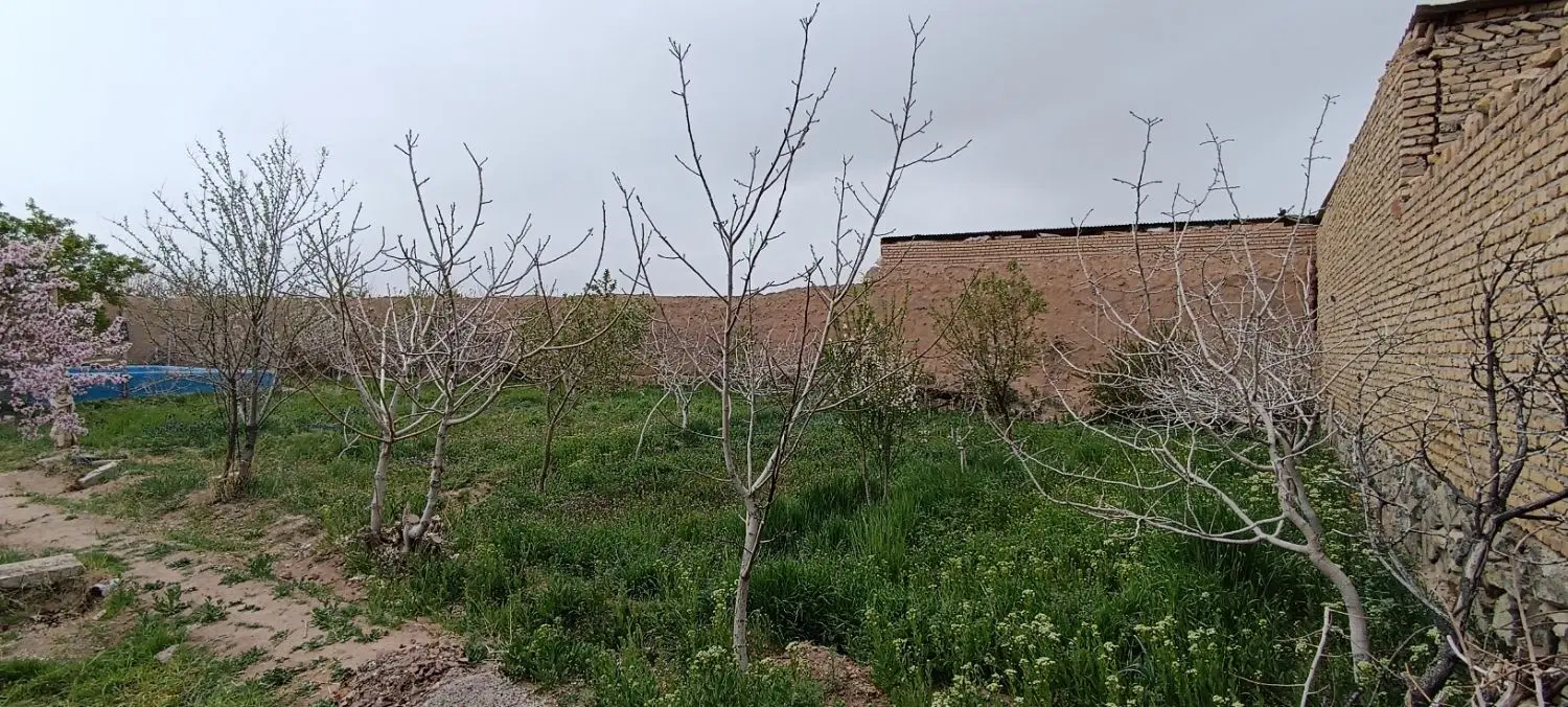 باغ زراعی واقع در روستای دوغشک تربت حیدریه