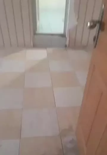 فروش آپارتمان دو خواب سند تک برگ ملکی