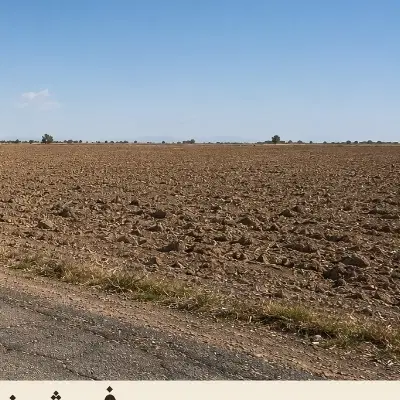 فروش زمین سند ملکی چشمه علیمون روستای مهر اباد