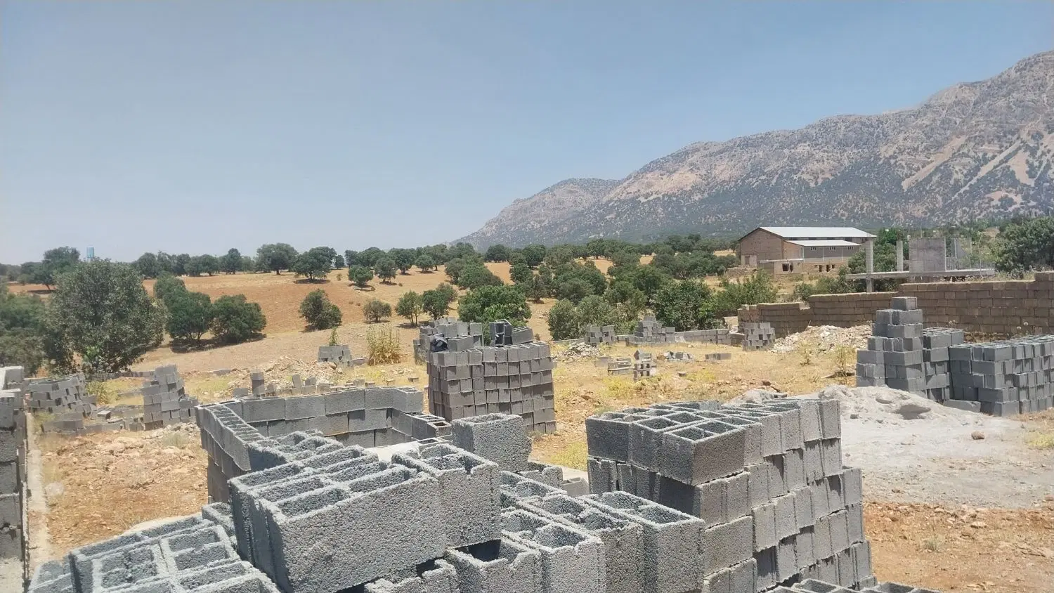 زمین
