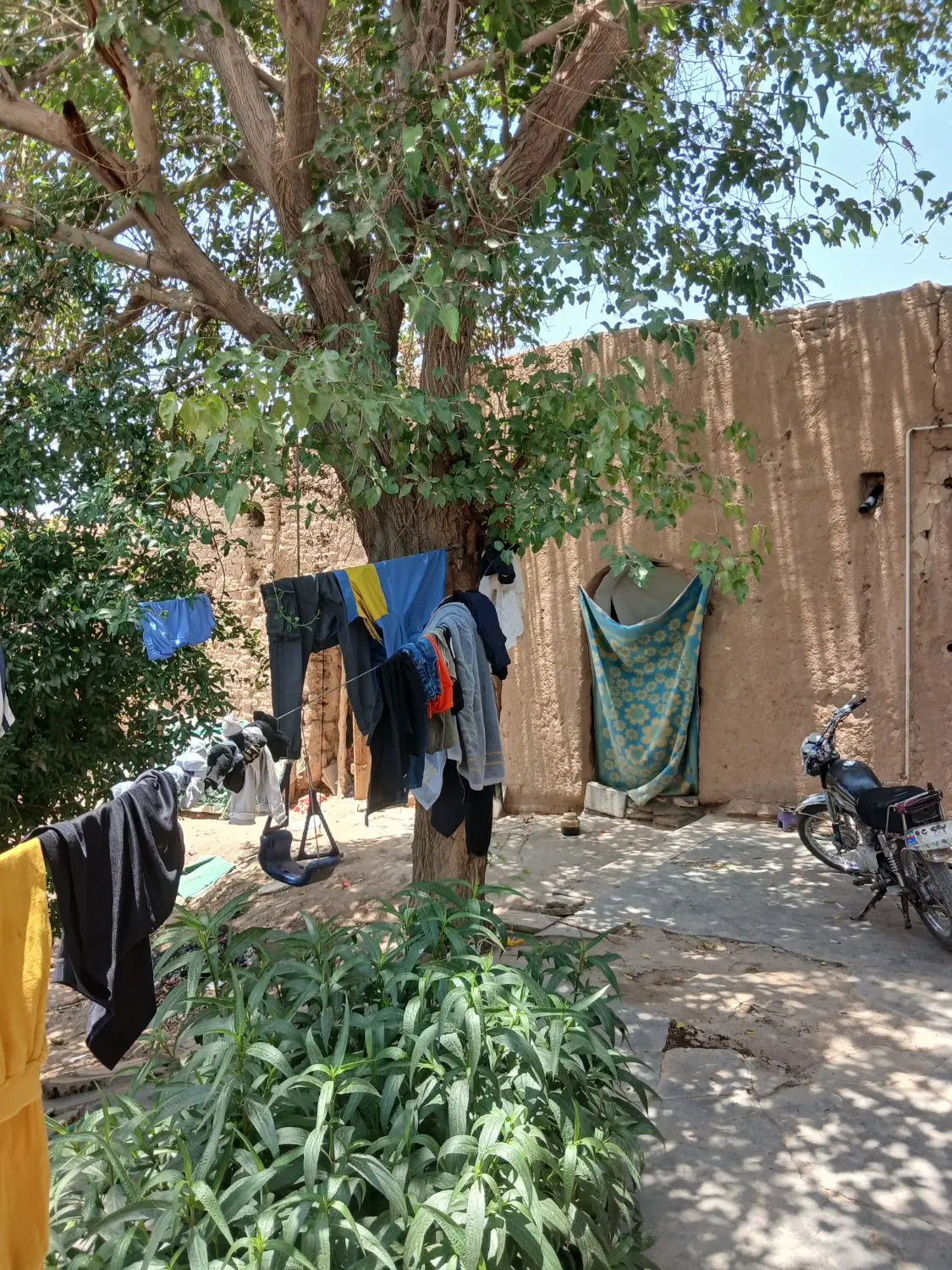 پارکینگ
