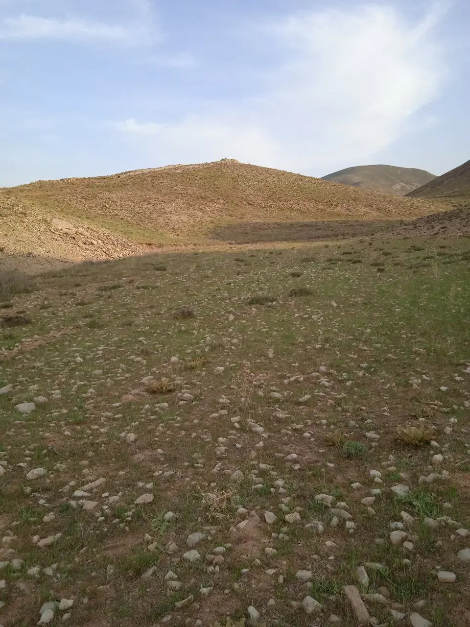 زمین به متراژ ۲۰۰۰متر درشهرنراق