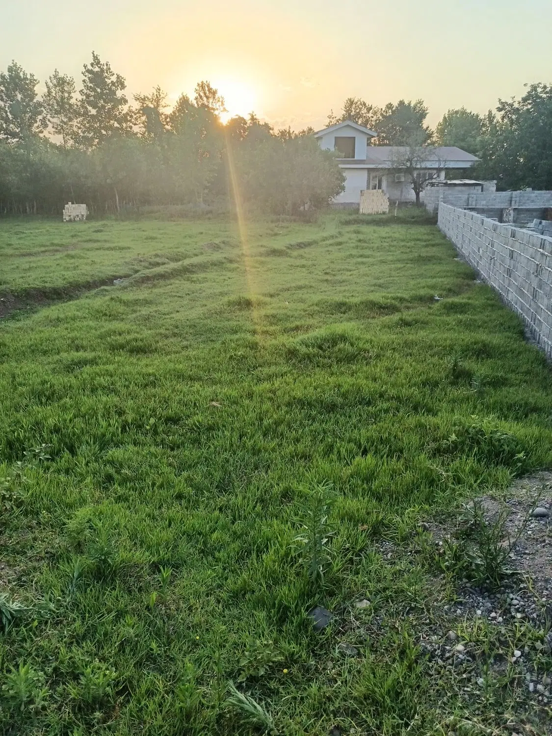 زمین ویلایی مسکونی در قاضیان