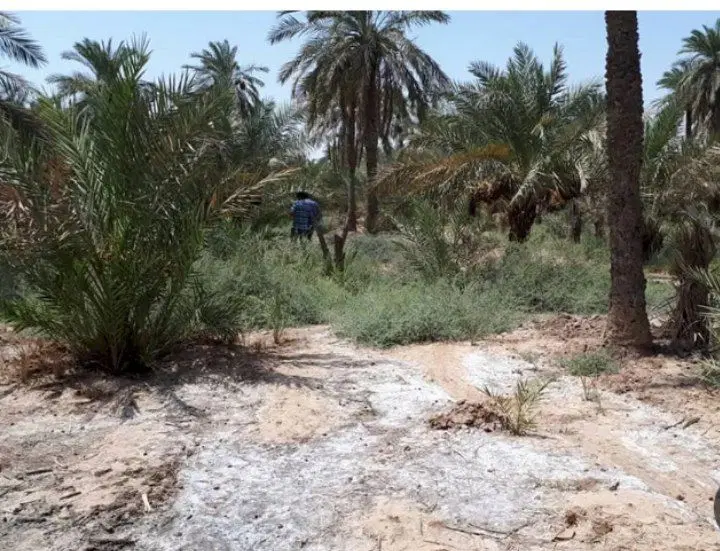 زمین آبادان برای فروش