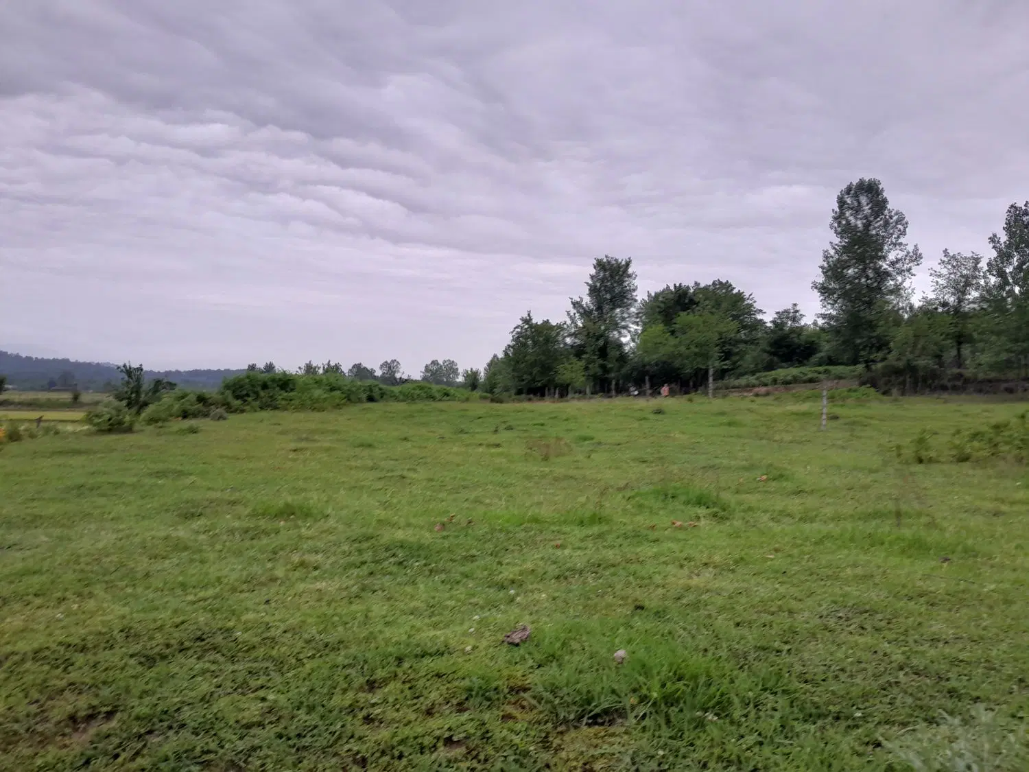 فروش زمین در روستای توریستی مژدهه قیمت پیشنهادی