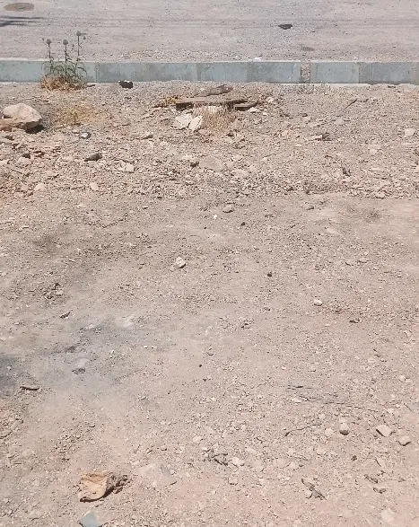 زمین مسکونی کلستان