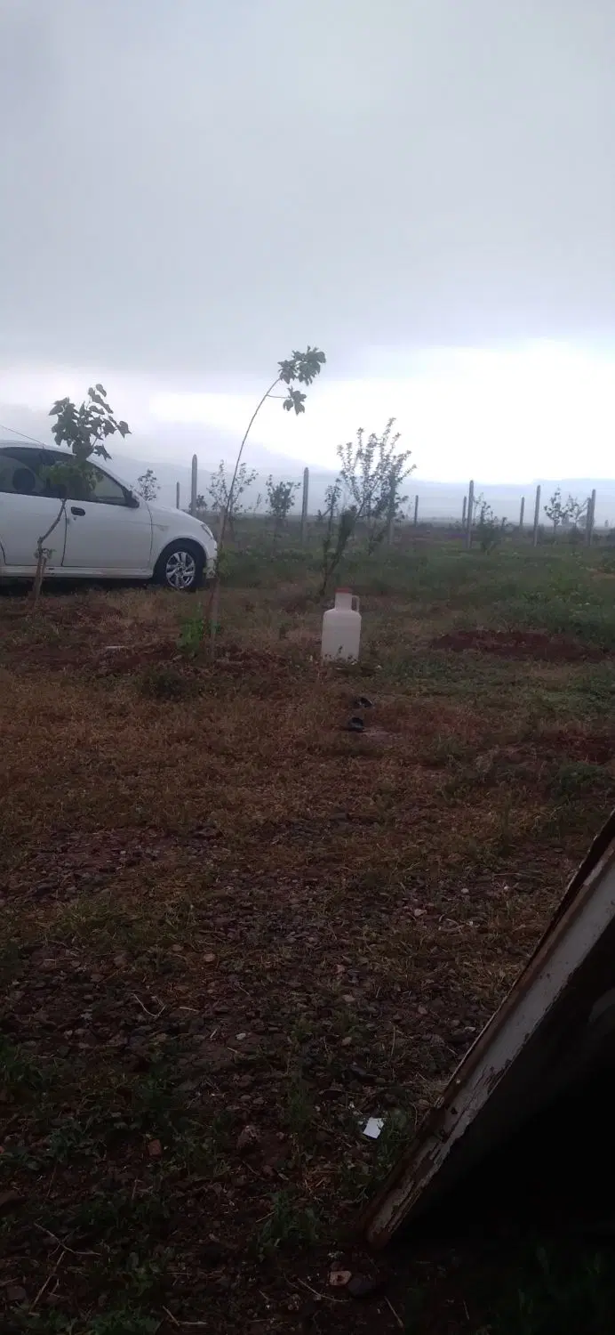 باغ در بیلوردی