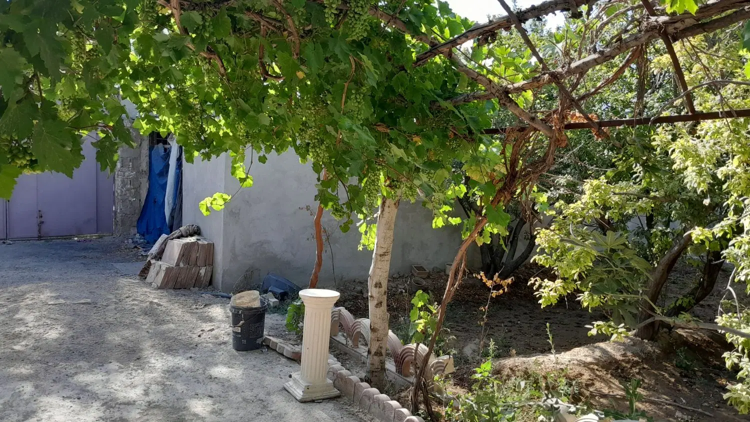 باغچه ۱۰۰۰متری عرصه وعیان