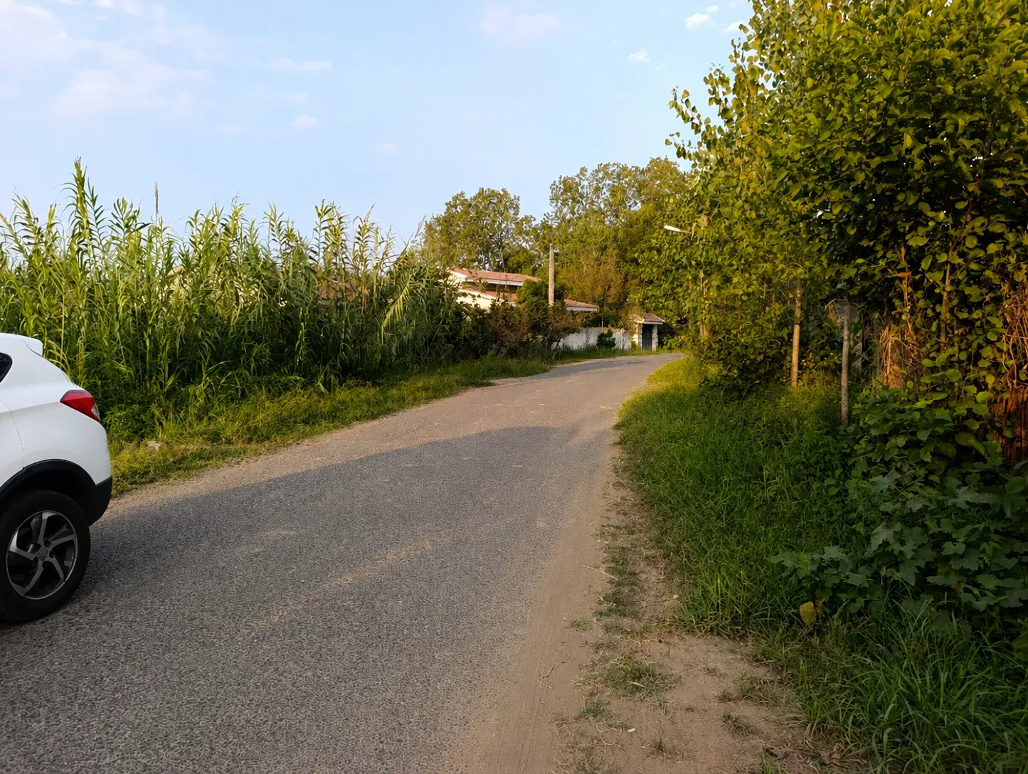 زمین کوچصفهان