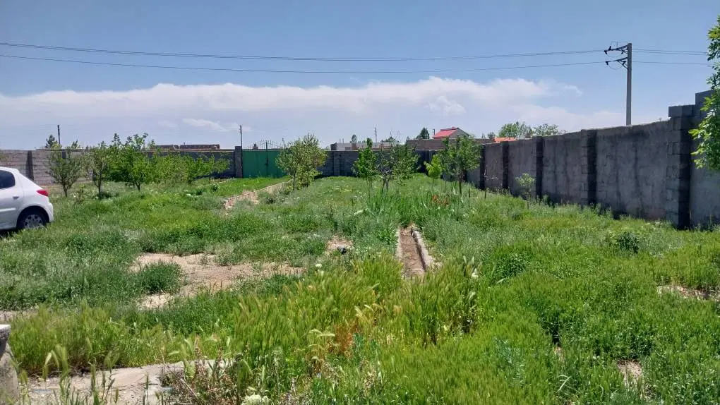 فروش باغ در شاهنامه