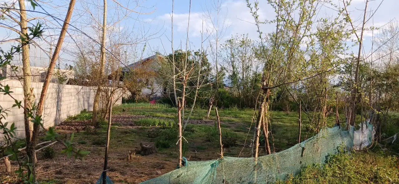 فروش زمین