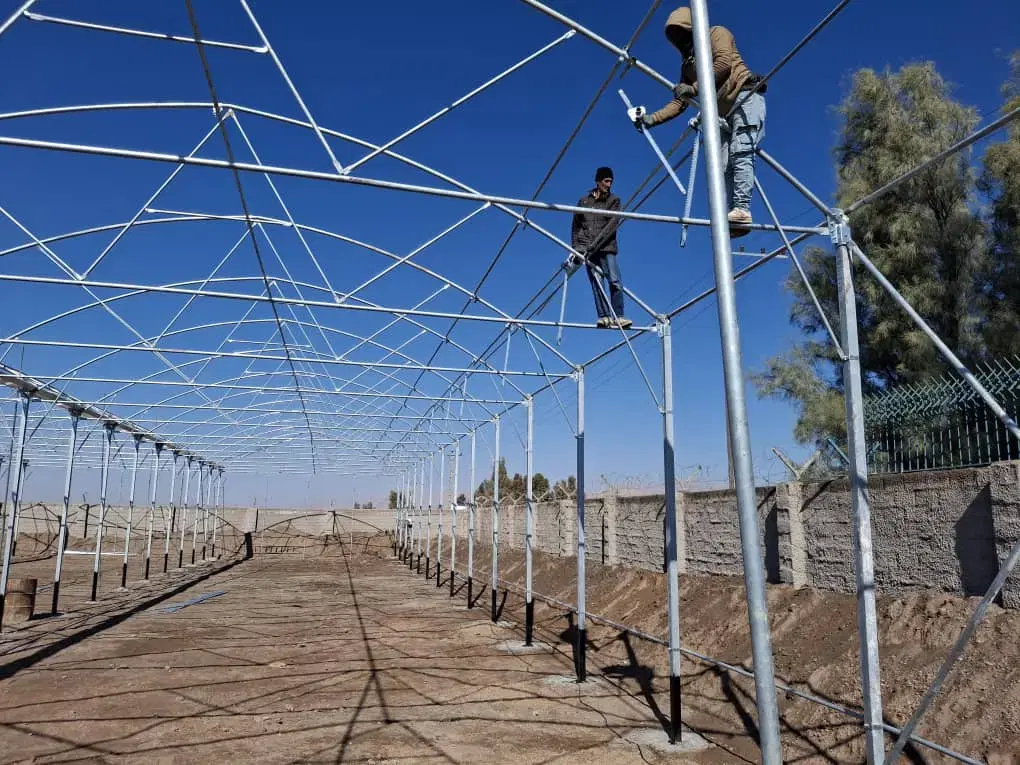 ساخت گلخانه استاندارد مطابق با نظام مهندسی کشاورزی