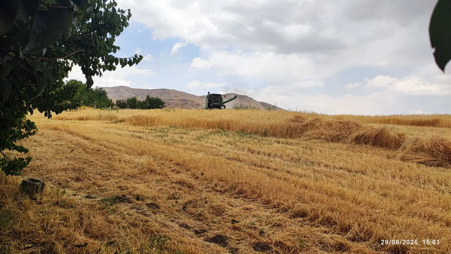 باغ و زمین ۲ هکتاری کامیاران