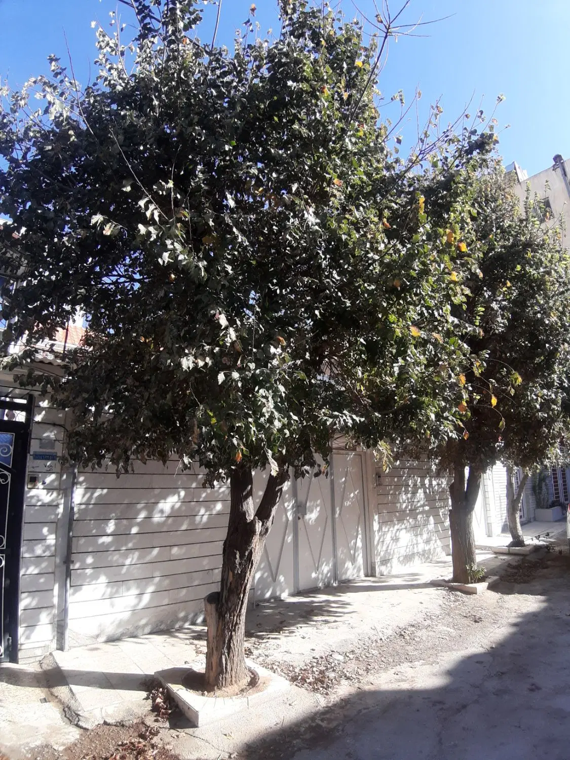 ویلایی دوطبقه