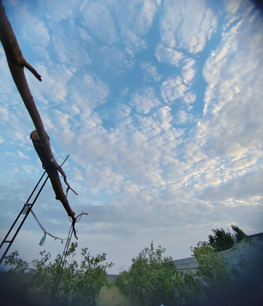 زمین باغ شهرک صنعتی جاده جوپاری