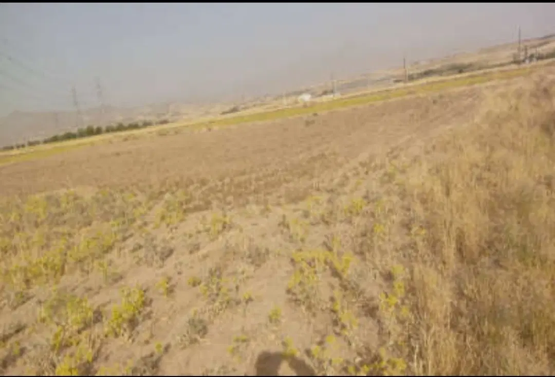 زمین کشاورزی با آب