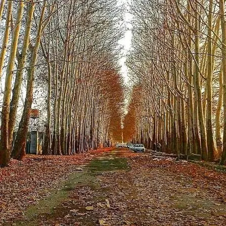 صدرا ۱۰۰۰ متر باغشهر پروانه دار