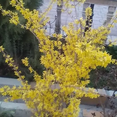 خانه کوچک یامغازه ملاشهاب الدین