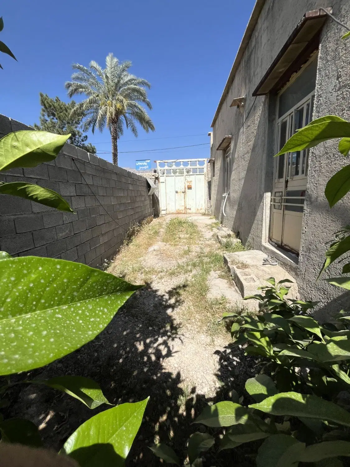 رهن و اجاره