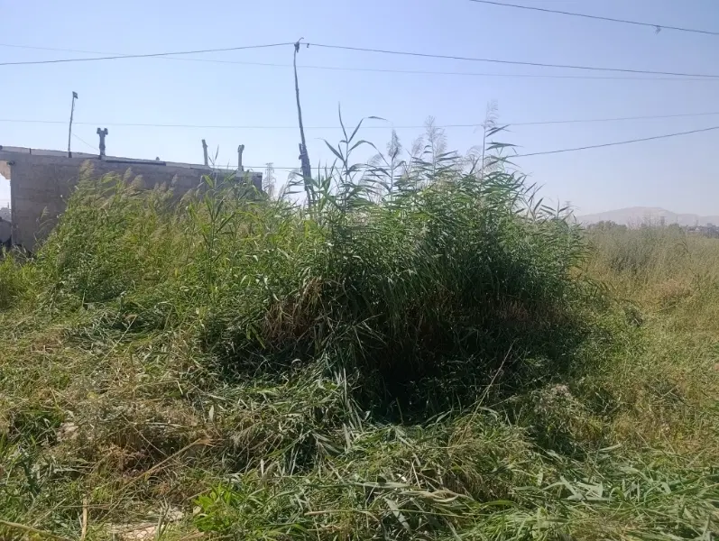 زمین داخل ساخت و ساز ۱۰۰متری