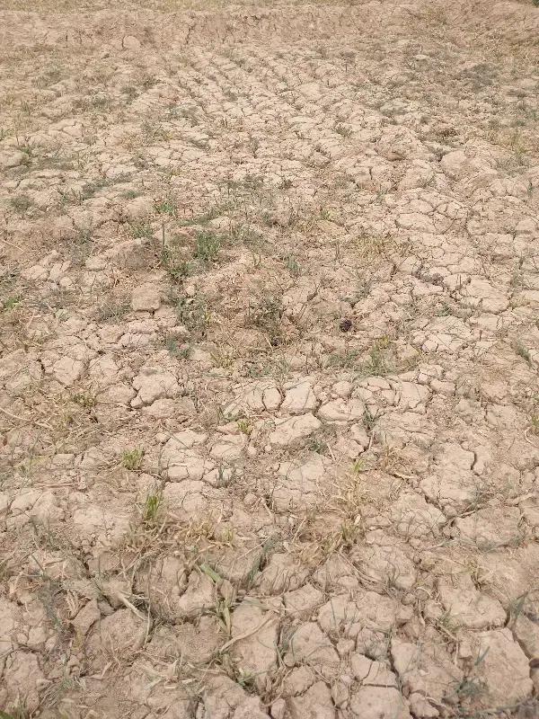 زمین تجاری مسکونی