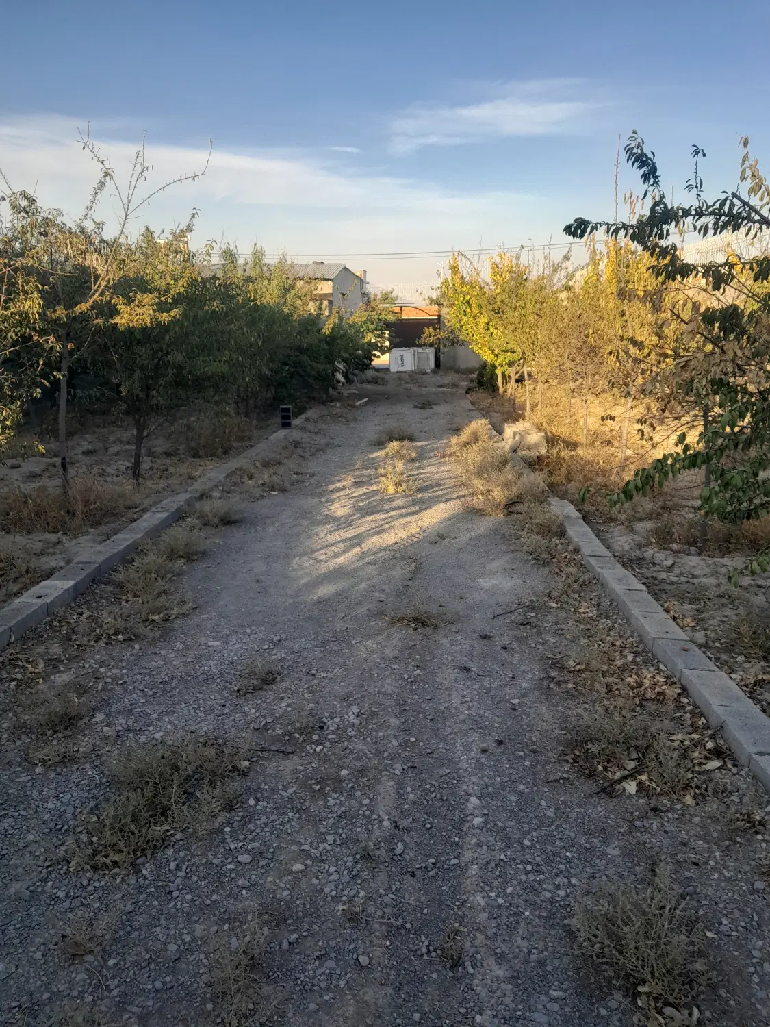 باغ و زمین