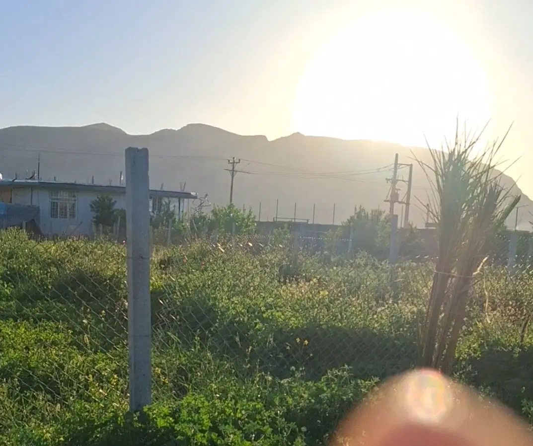 فروش زمین مناسب ویلا باغ