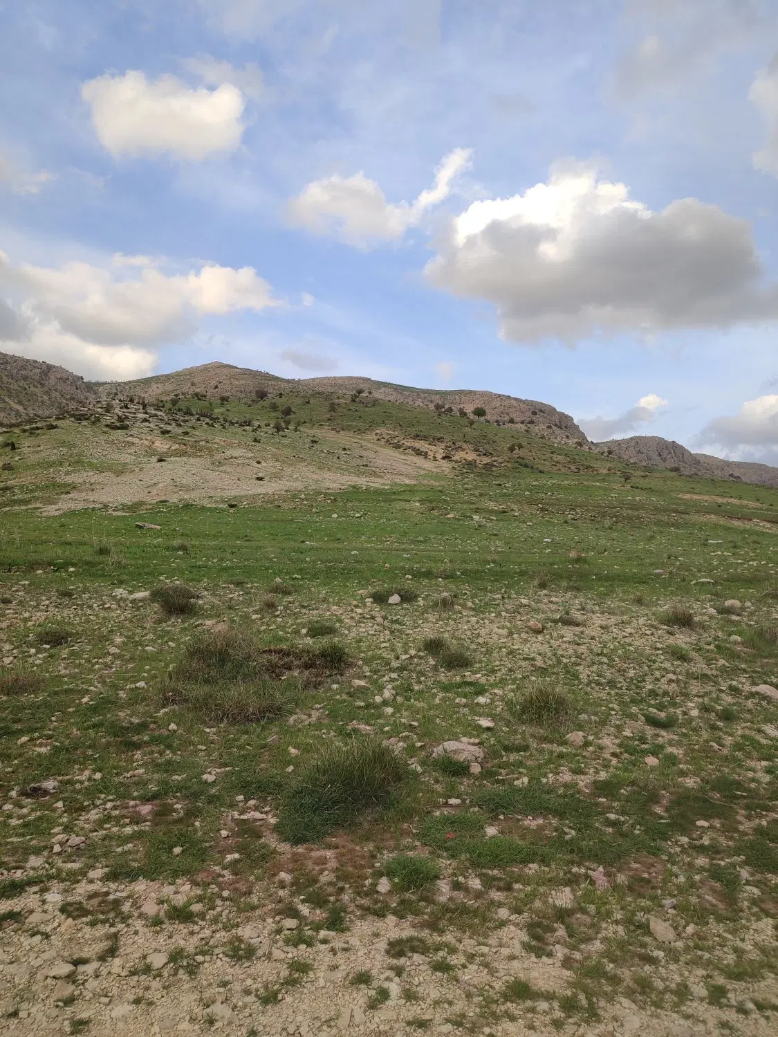 دامداری تکمیل اماده به کار کره جبور کوچه اول